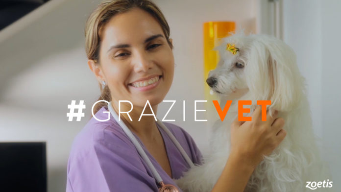 grazievet