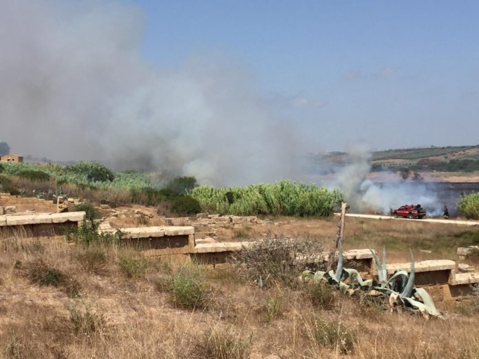 Parco di Selinunte - incendio