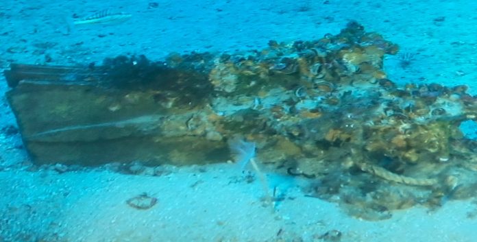 rostro rinvenuto nel mare di levanzo