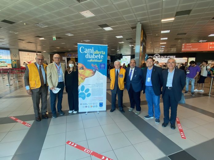 gesap Lions addestramento cani allerta diabete