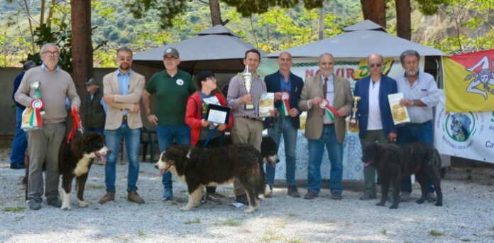 1° Raduno Nazionale C.A.C. Mastino Siciliano/Cane di Mannara