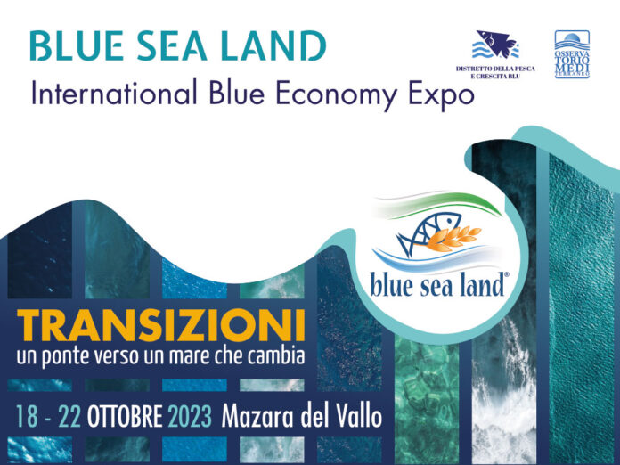 locandina - blue sea land