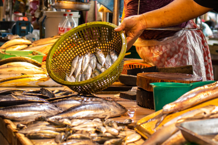 Pesce povero del mediterraneo