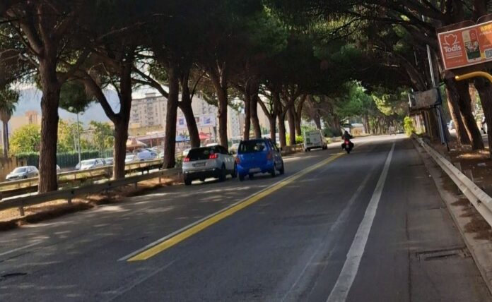 Viale Regione Siciliana – Rami pericolanti e strade dissestate